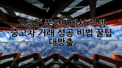 🚗 고흥군 풍양면에서 득템?! 중고차 거래 성공 비법! 꿀팁 대방출! 🍯