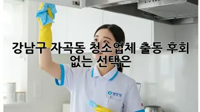 강남구 자곡동 청소업체 출동, 후회 없는 선택은?